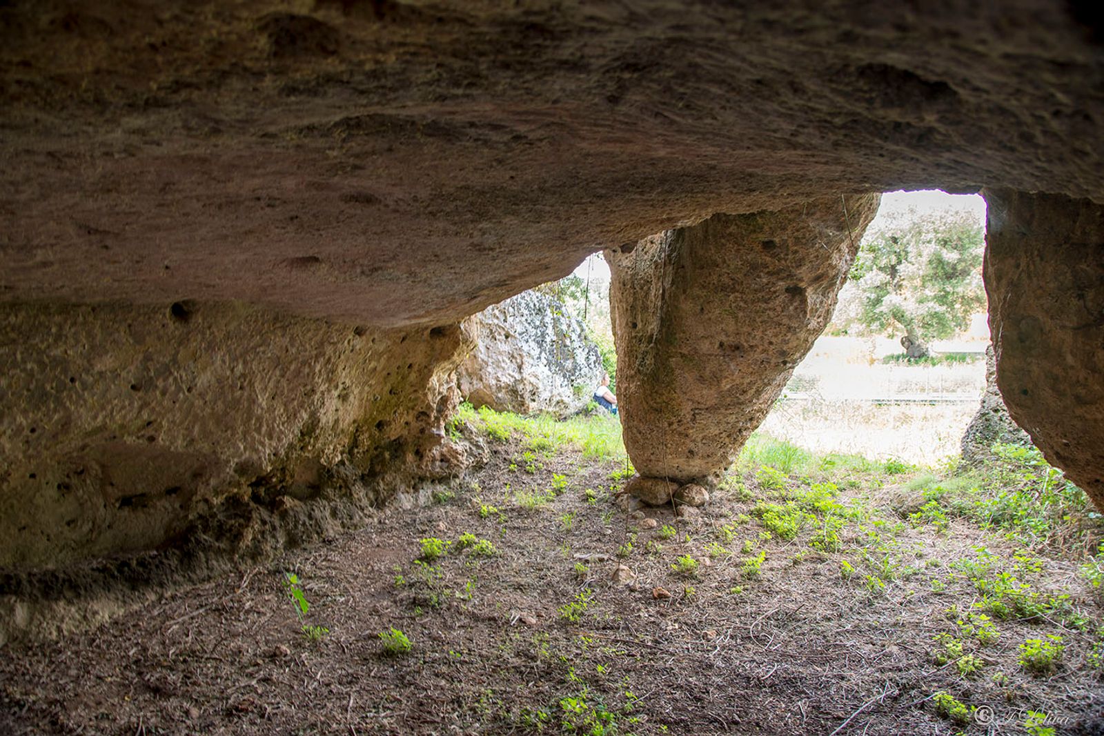 LAMA D'ANTICO - FASANO — fotografia 13 di Francesco Loliva