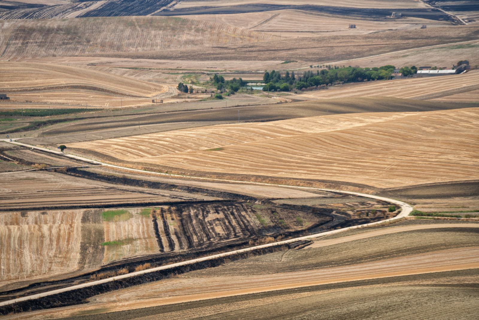 DA POGGIORSINI A PIETRAGALLA — fotografia 6 di Francesco Loliva
