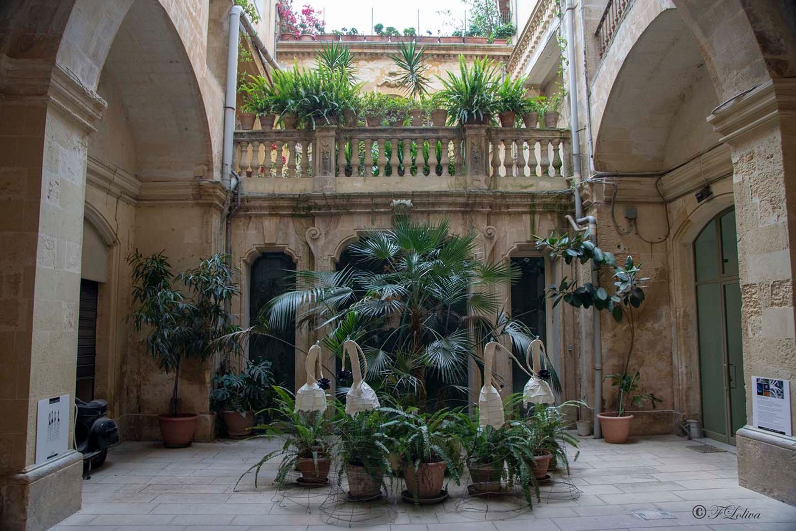PALAZZO ANDRETTA