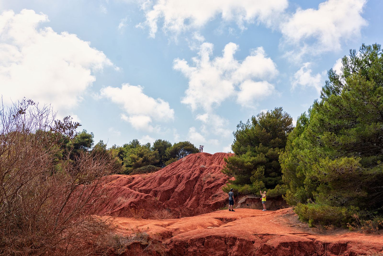 CAVA DI BAUXITE — fotografia 8 di Francesco Loliva