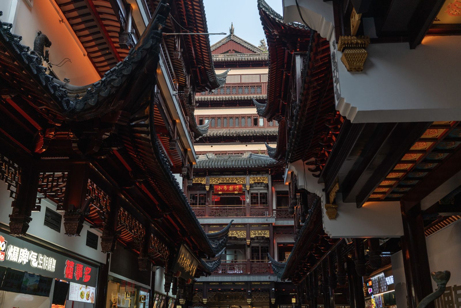 VIAGGIO A SHANGAI 2024 — fotografia 103 di Francesco Loliva