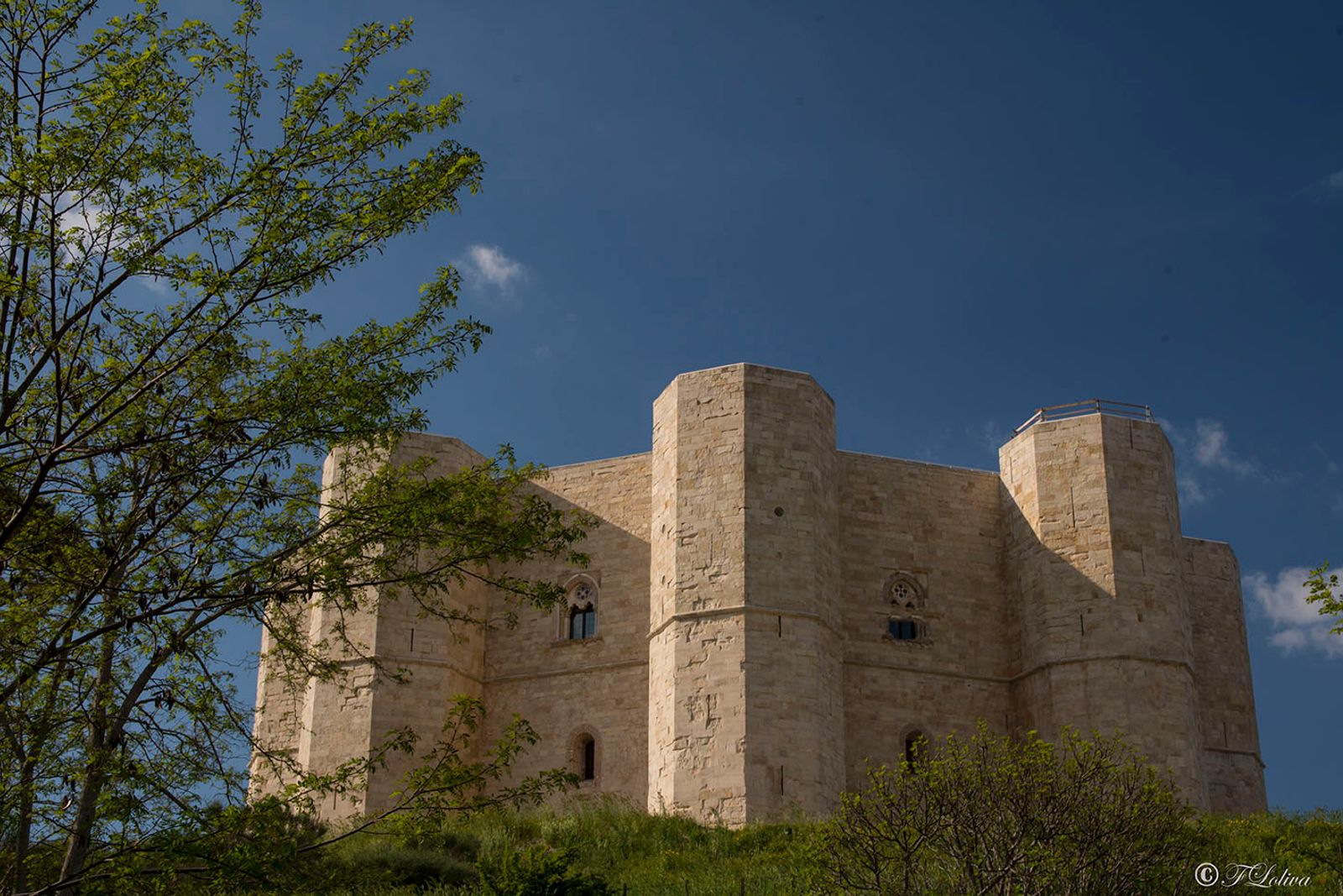 PUGLIA IMPERIALE — fotografia 14 di Francesco Loliva