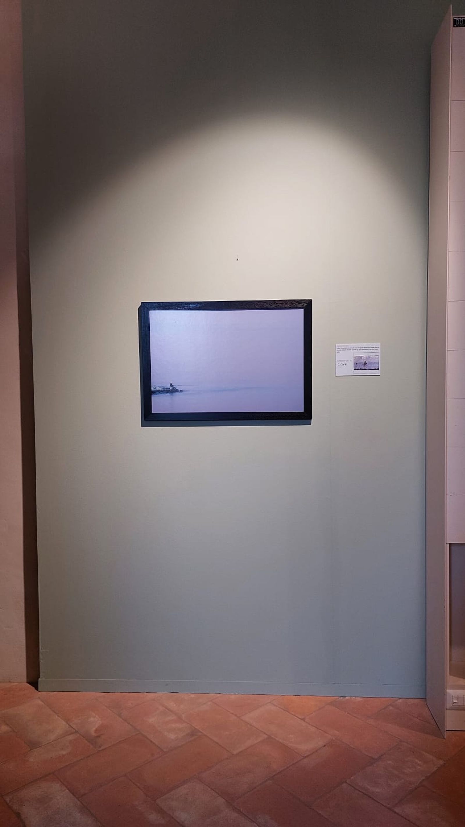 CONGIUNTI mostra museale Castello Sforzesco di Novara 8 settembre 2022 — fotografia 5 di Francesco Loliva