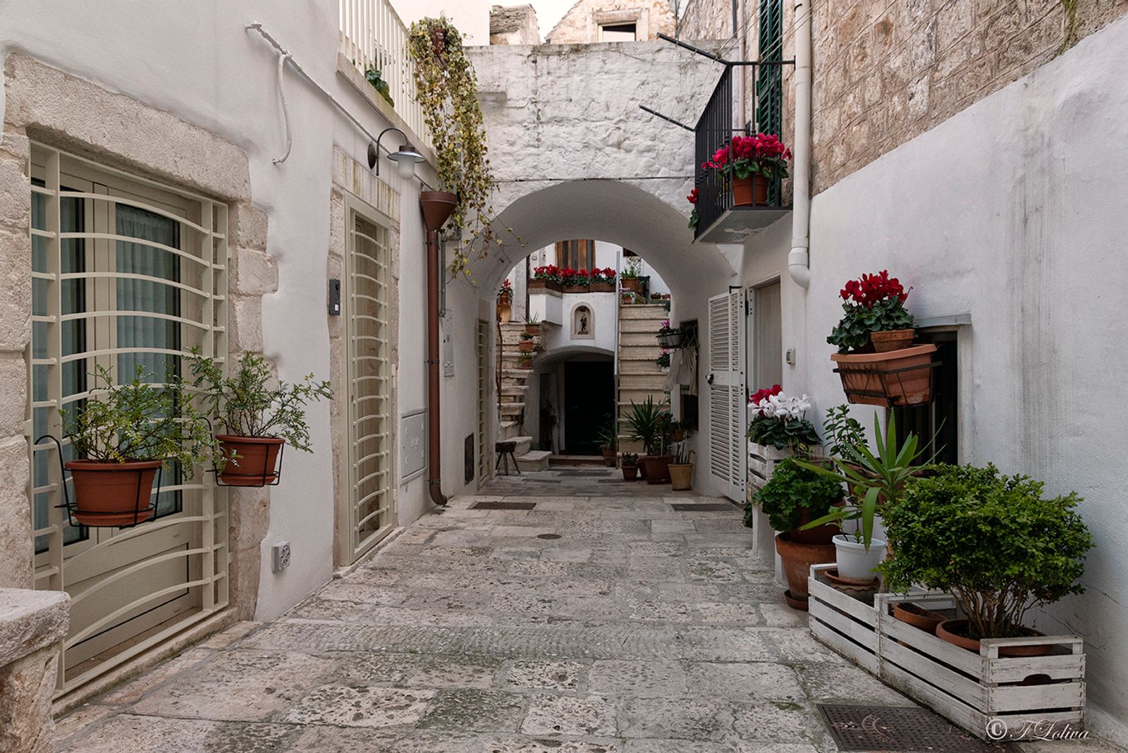 LE GNOSTRE Le gnostre (da claustrum, serratura, stesso etimo di chiostro) sono piccoli spazi che si aprono nel centro…