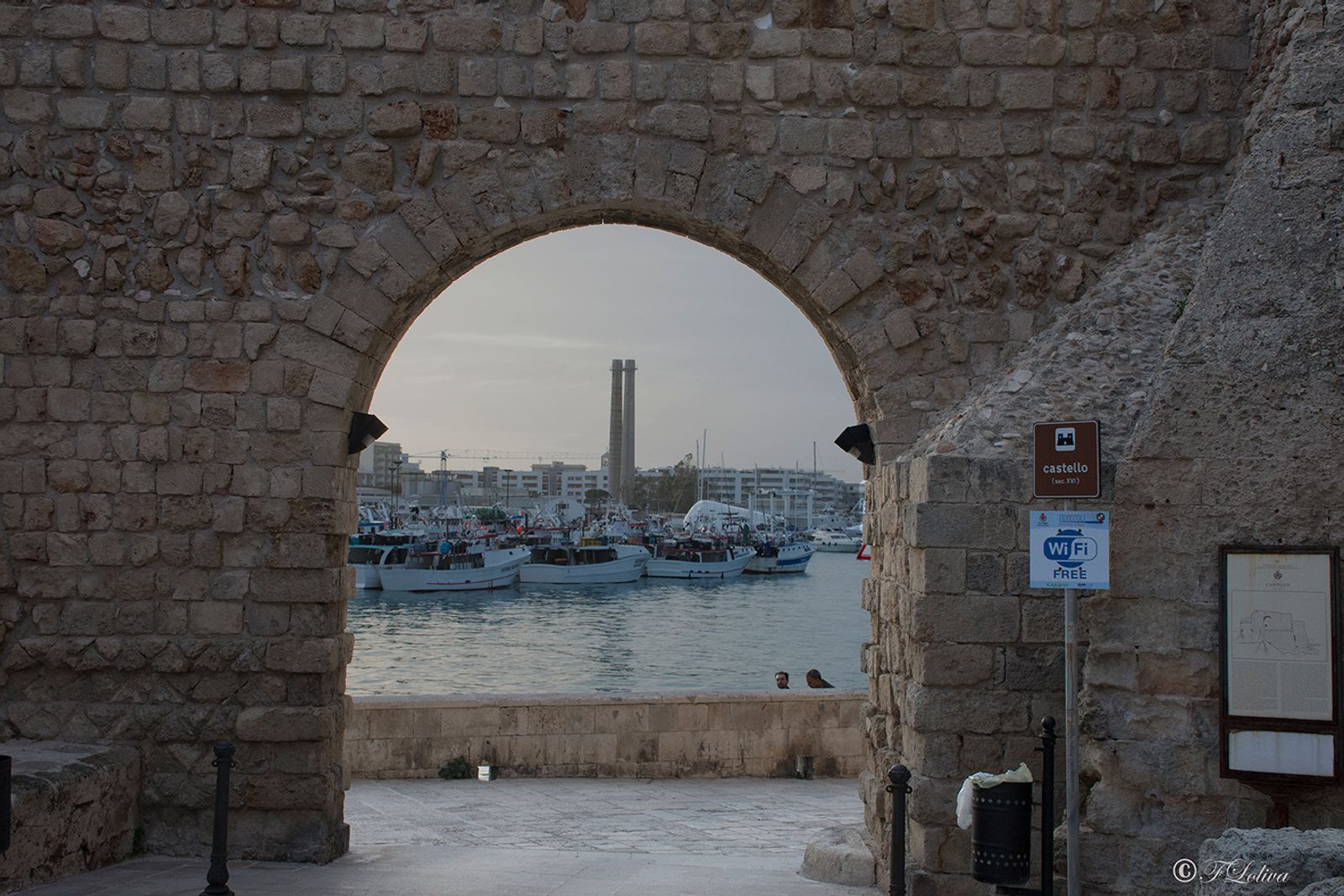 MONOPOLI — fotografia 6 di Francesco Loliva