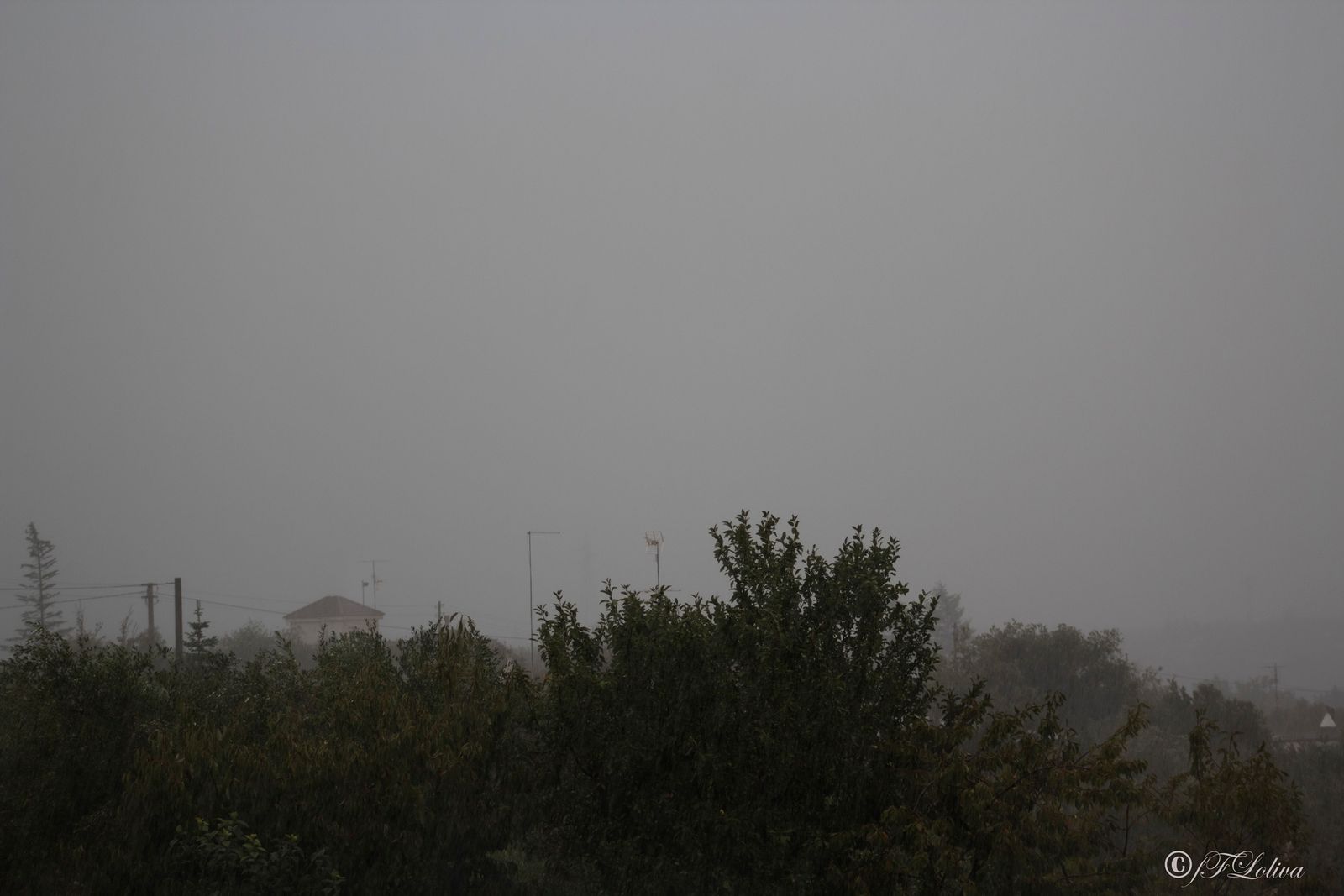 PRIMI SEGNALI D'AUTUNNO — fotografia 8 di Francesco Loliva