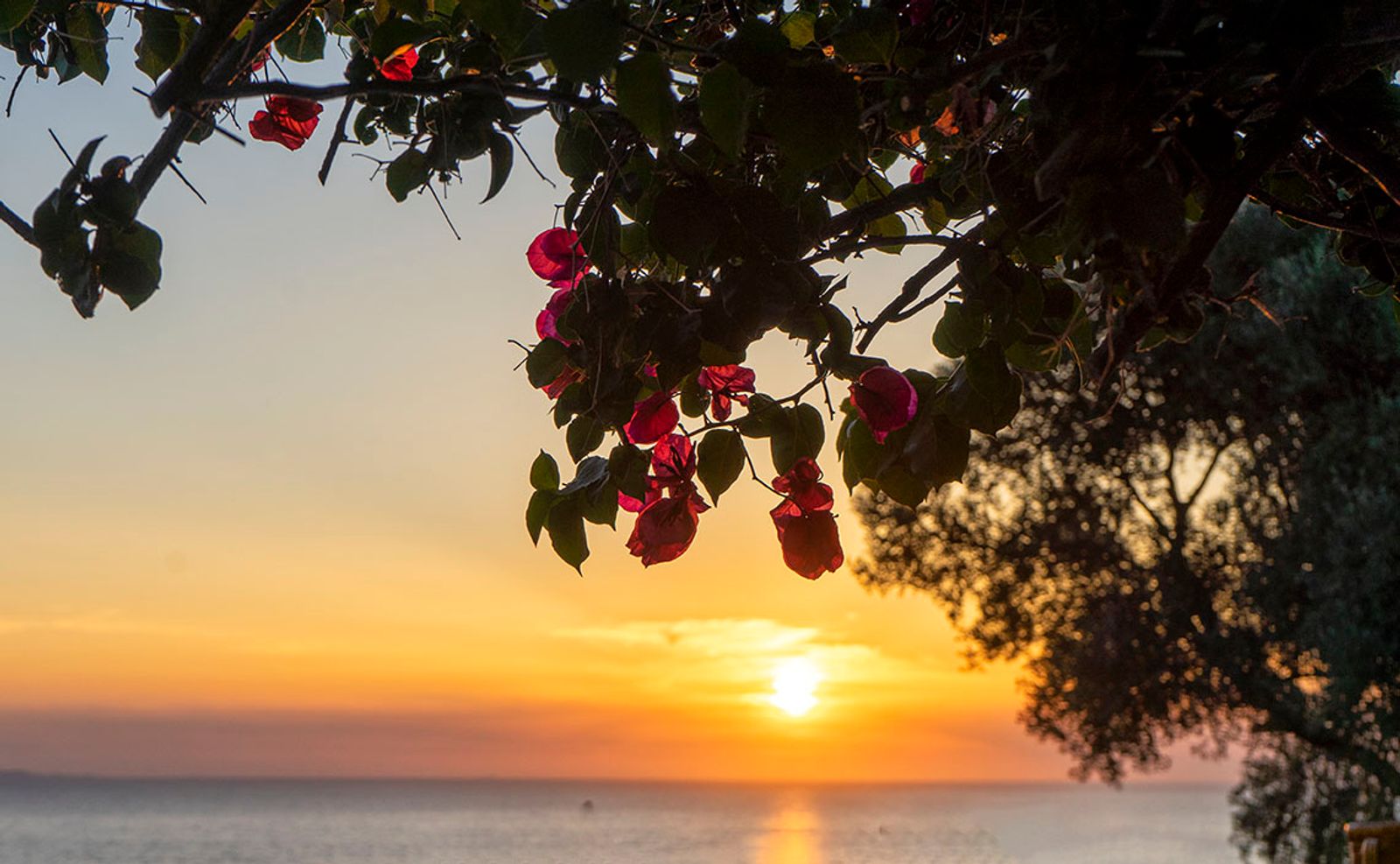 TRAMONTO ISCHITANO #4