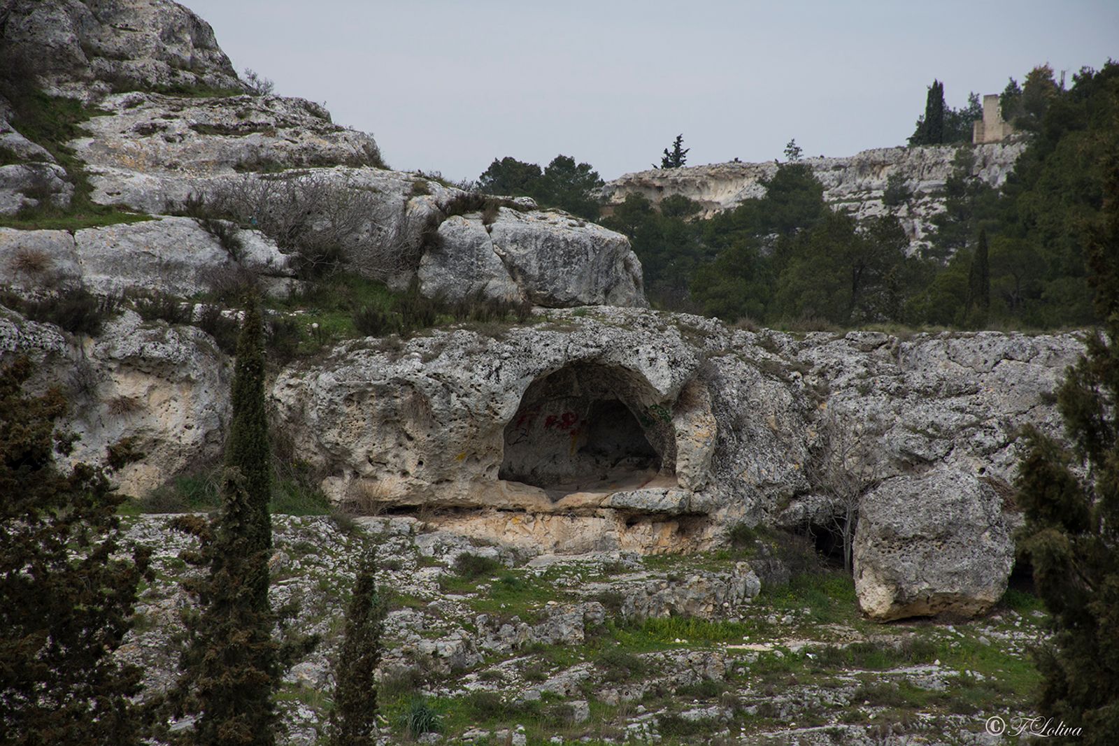 GRAVINA IN PUGLIA — fotografia 19 di Francesco Loliva