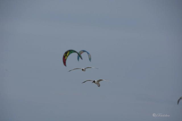 Kitesurf