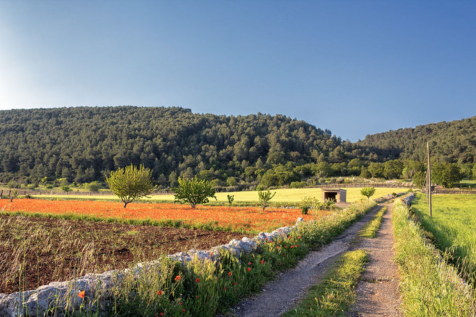 STRADA DI CAMPAGNA