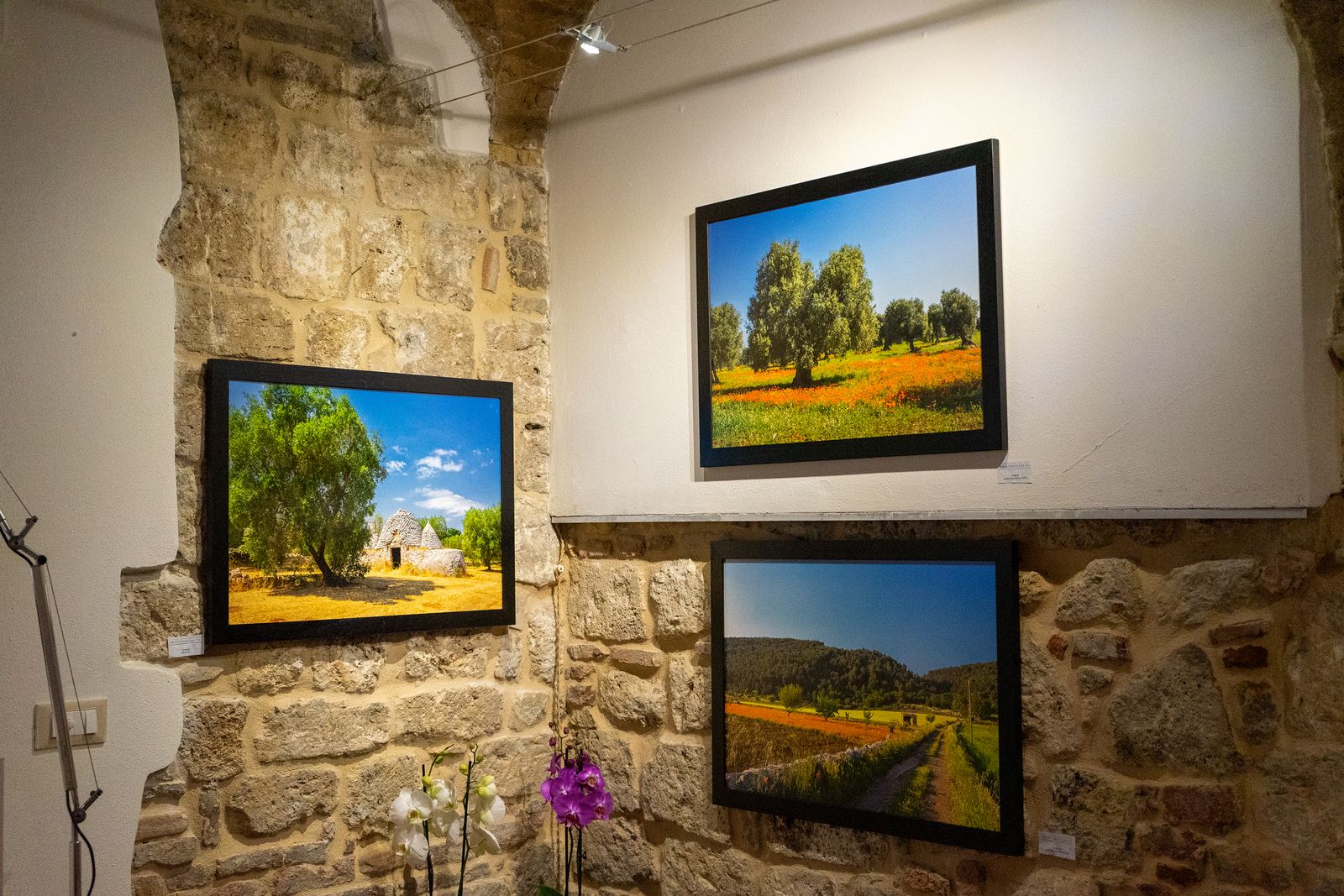 ANGOLI DI PUGLIA - NEW ART NG - ASCOLI — fotografia 14 di Francesco Loliva