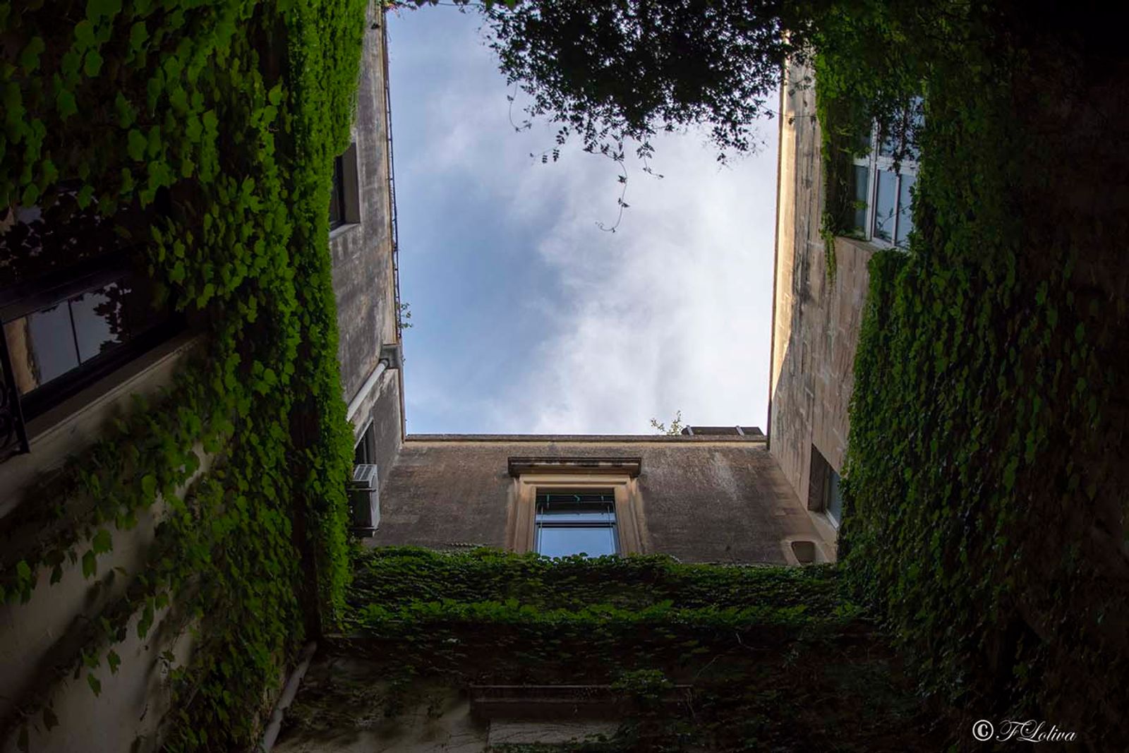 LECCE - CORTILI APERTI — fotografia 3 di Francesco Loliva