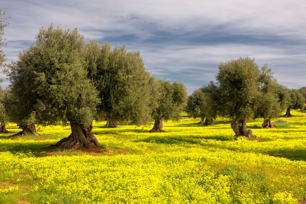 I colori della natura