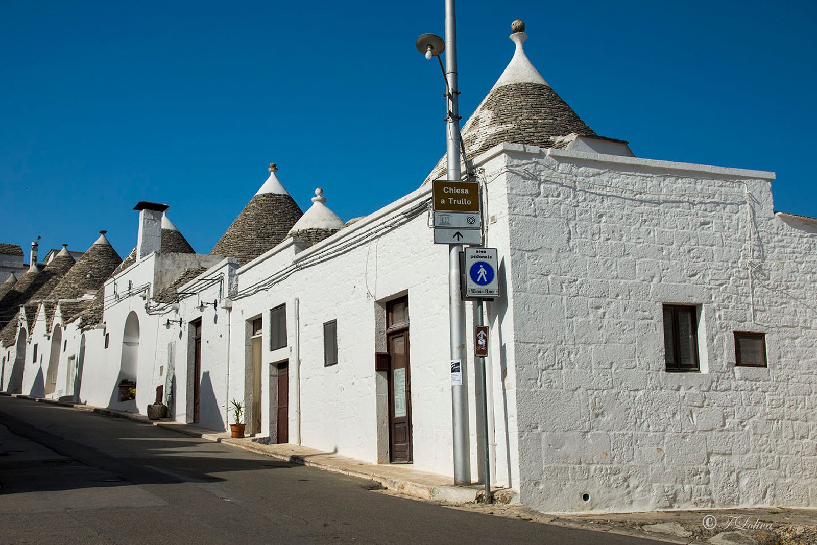 ALBEROBELLO — fotografia 7 di Francesco Loliva