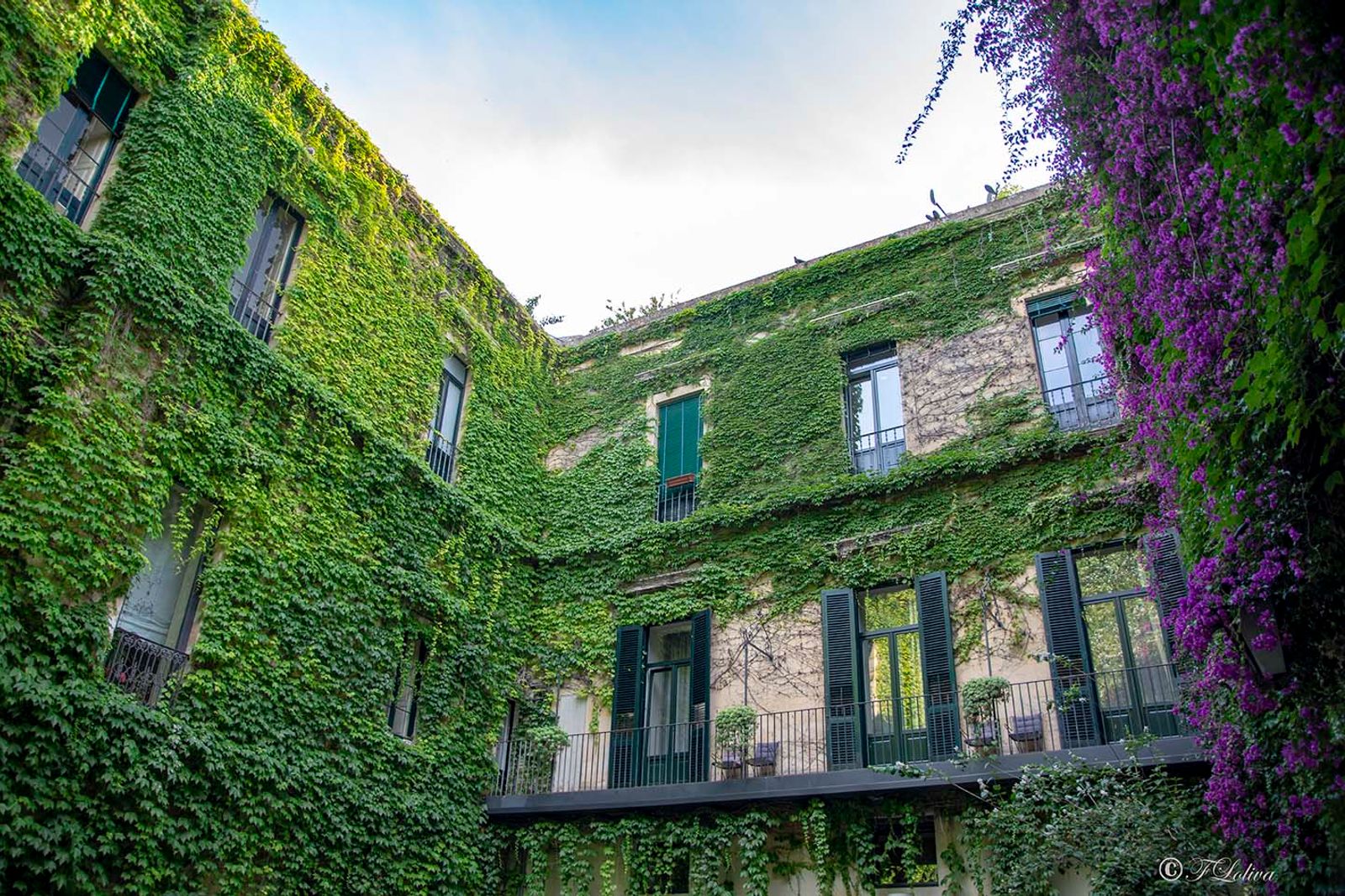 LECCE-PALAZZO ROLLO
