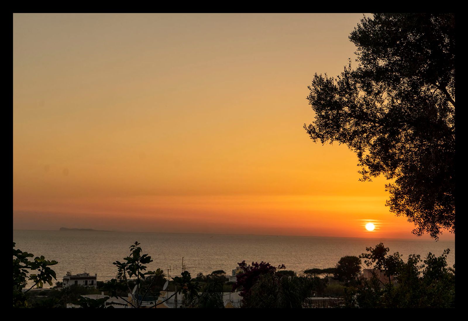 TRAMONTO ISCHITANO #11
