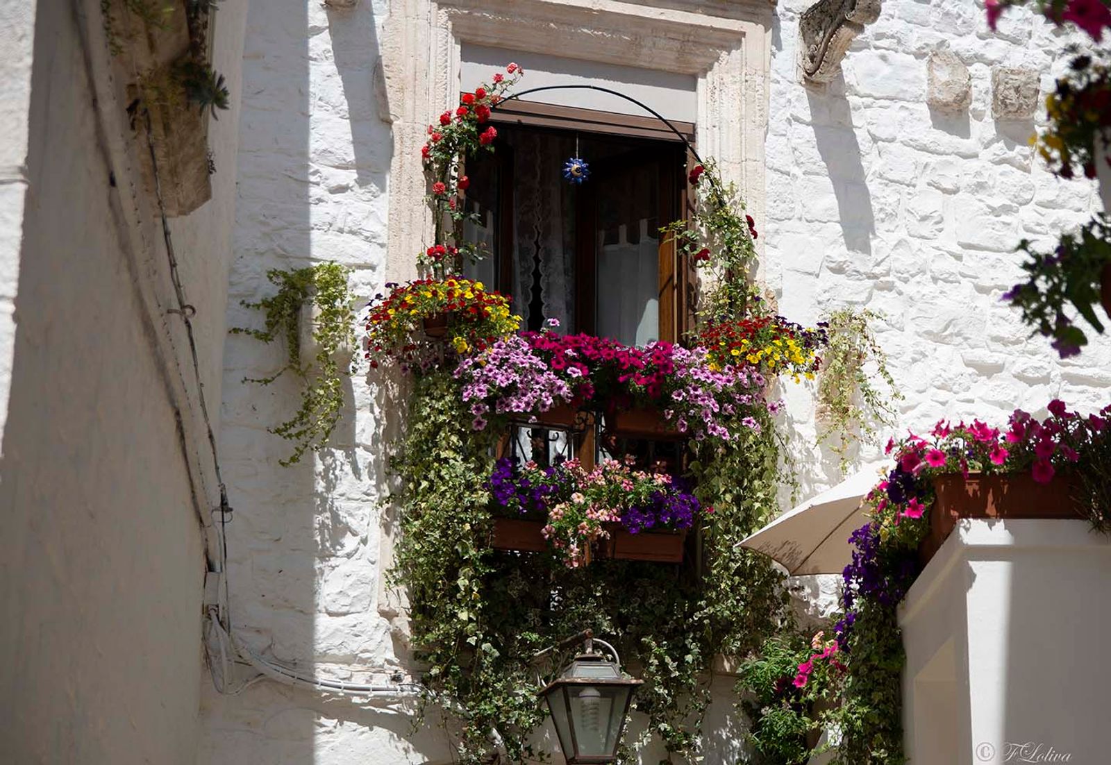 CISTERNINO - ANGOLO FIORITO