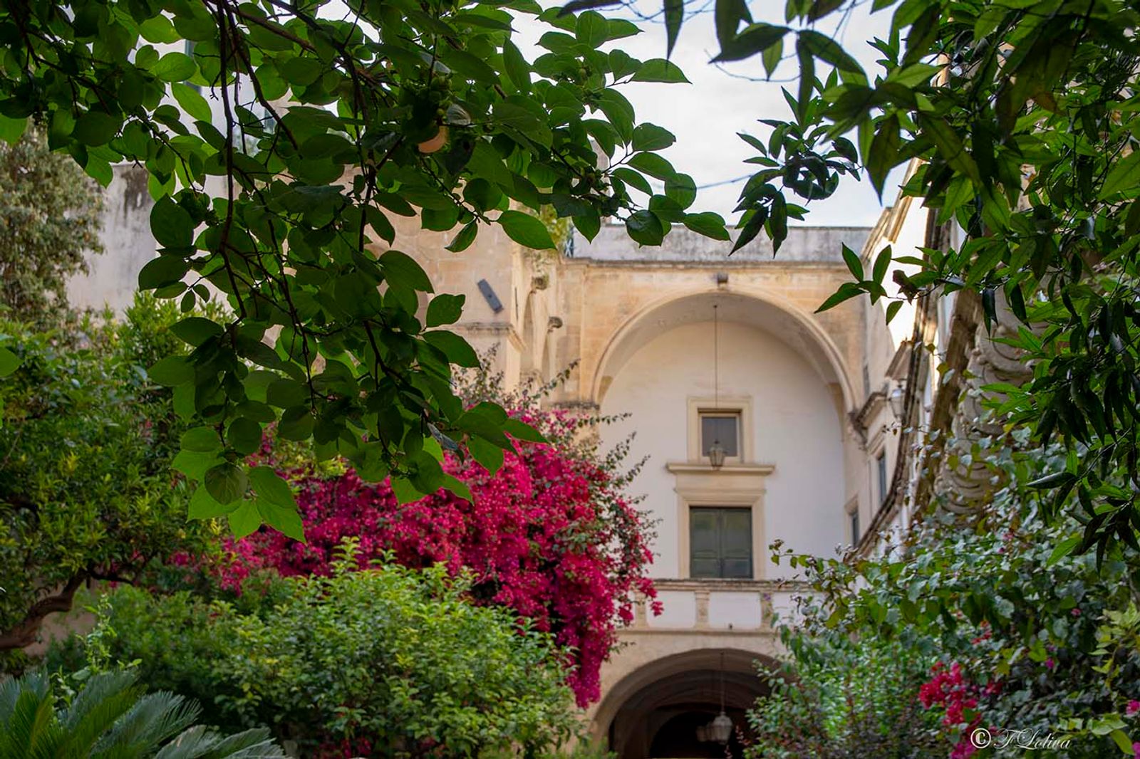 LECCE - CORTILI APERTI — fotografia 18 di Francesco Loliva