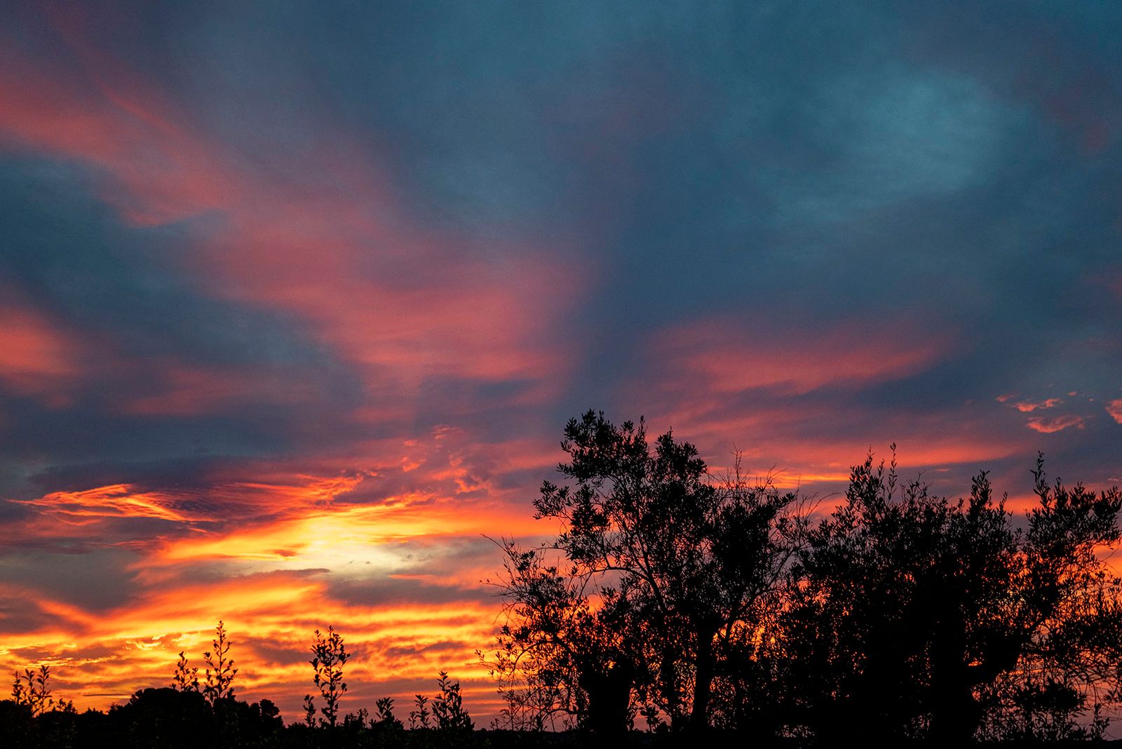 TRAMONTO IN COLLINA#1