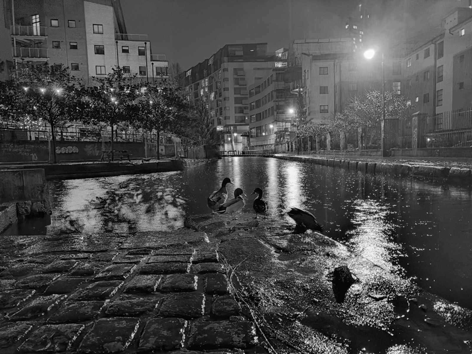 NATALE A MANCHESTER — fotografia 81 di Francesco Loliva