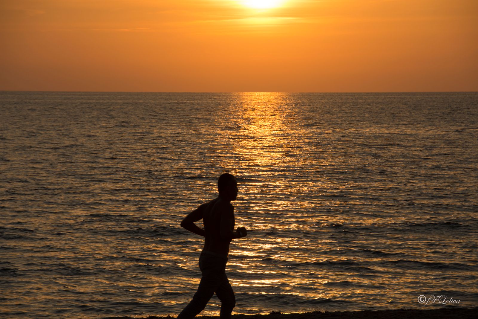 TRAMONTO IN VERSILIA — fotografia 4 di Francesco Loliva