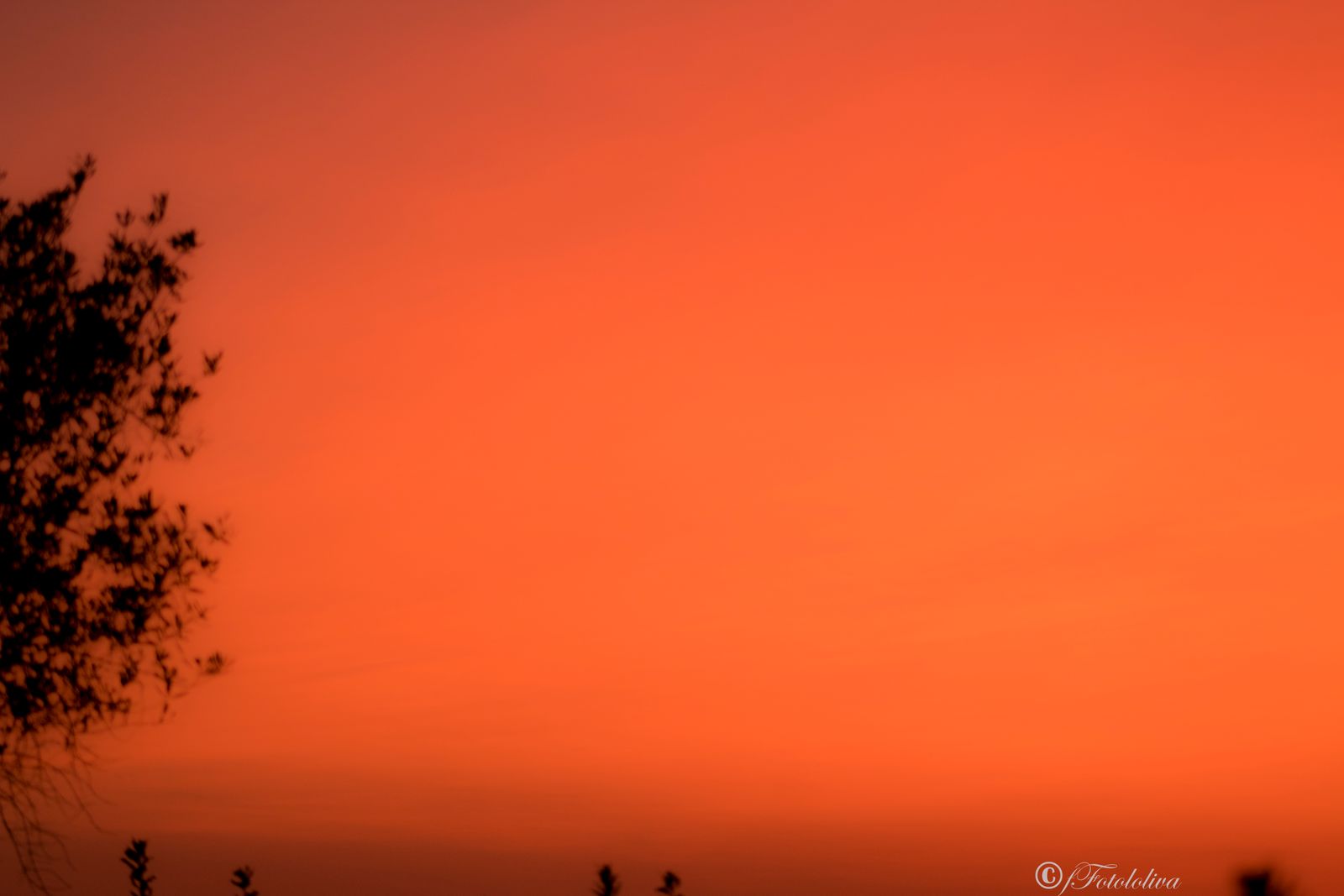 Tramonti in campagna — fotografia 9 di Francesco Loliva