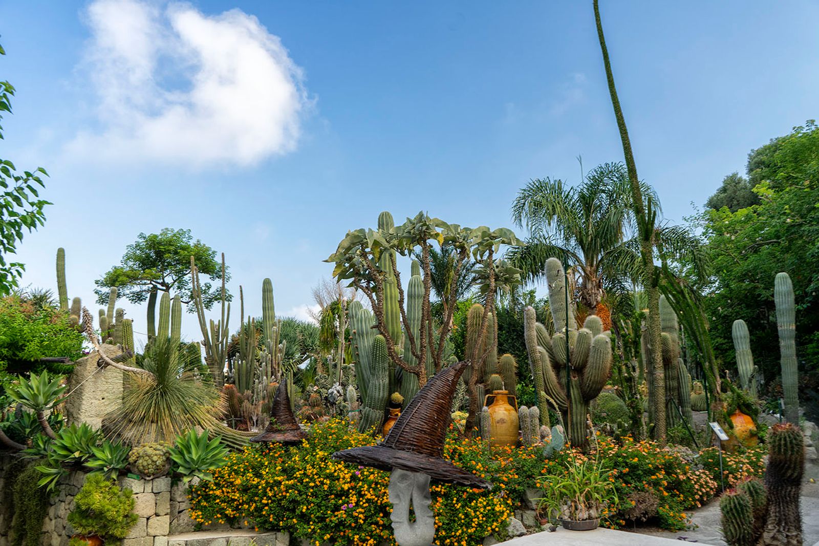GIARDINI RAVINO - FORIO D'ISCHIA — fotografia 3 di Francesco Loliva
