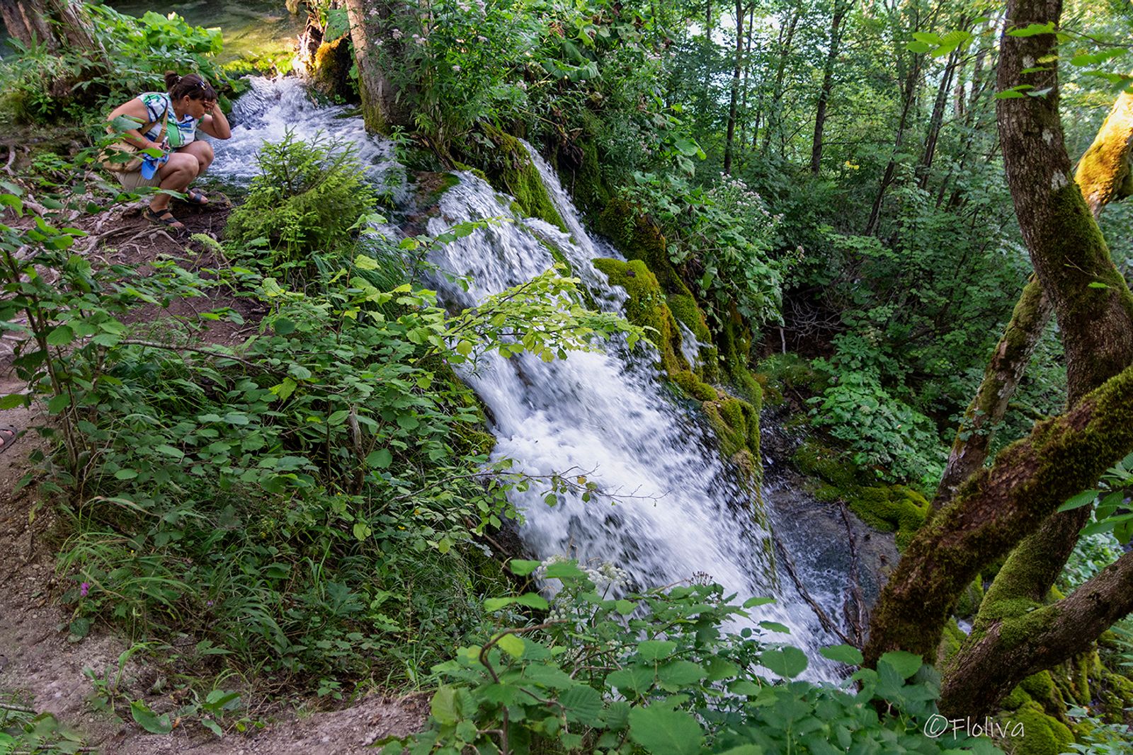 CROAZIA -DISTRETTO DEI LAGHI — fotografia 4 di Francesco Loliva