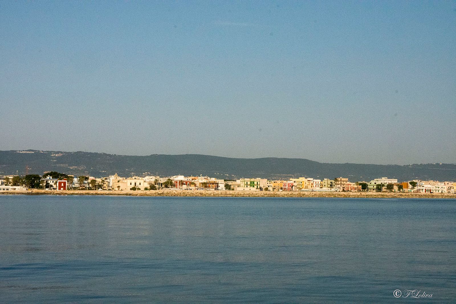 SAVELLETRI - LA PESCA CON LE RETI — fotografia 41 di Francesco Loliva