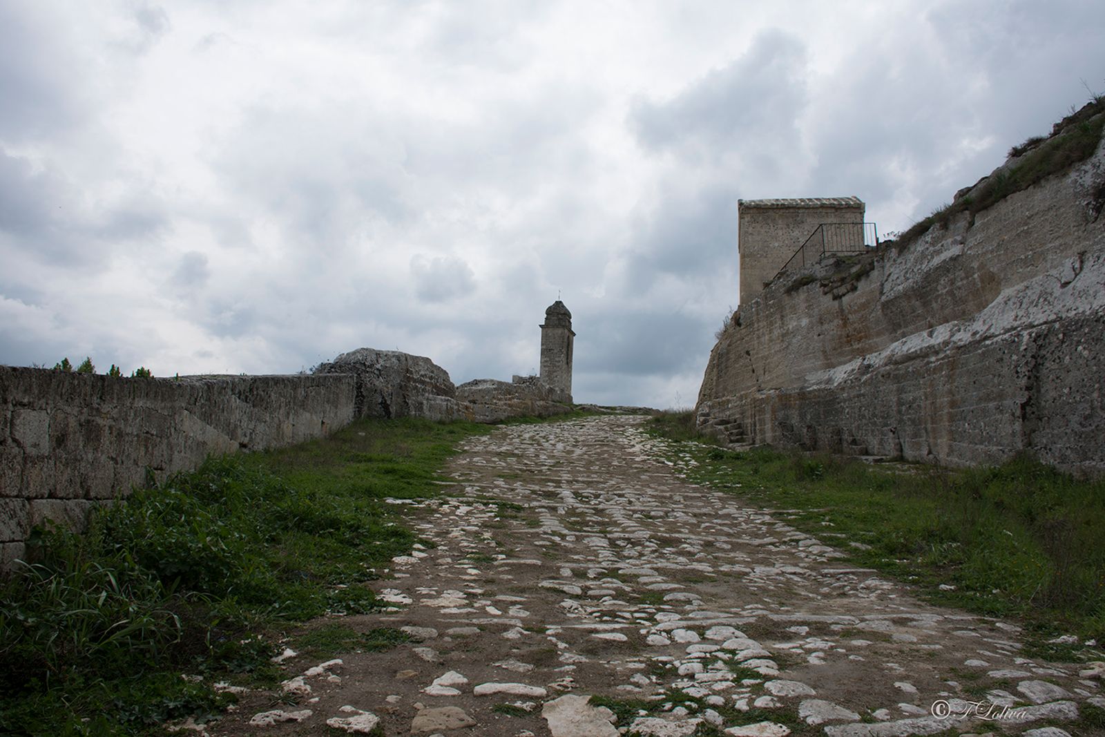 GRAVINA IN PUGLIA — fotografia 7 di Francesco Loliva