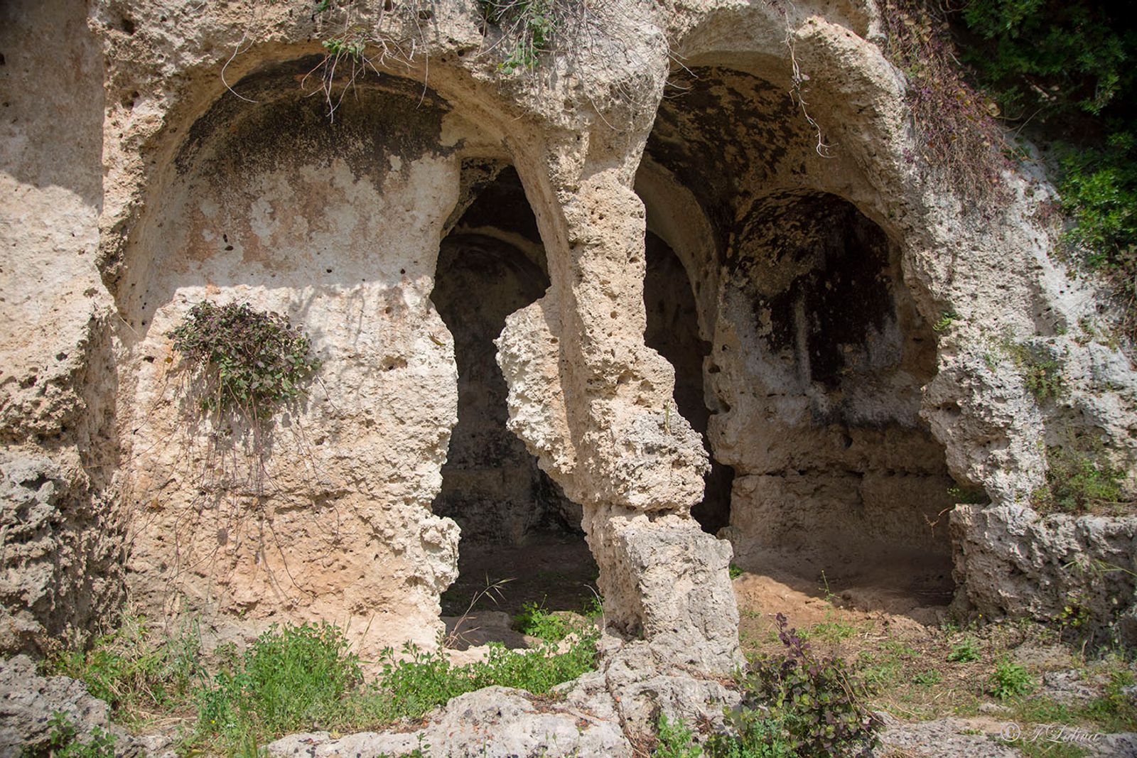 LAMA D'ANTICO - FASANO — fotografia 10 di Francesco Loliva