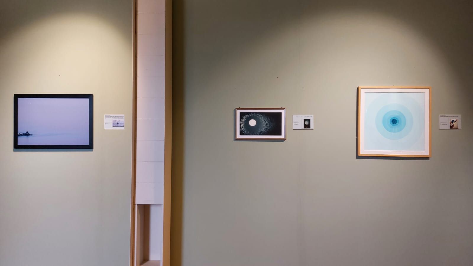 CONGIUNTI mostra museale Castello Sforzesco di Novara 8 settembre 2022 — fotografia 4 di Francesco Loliva