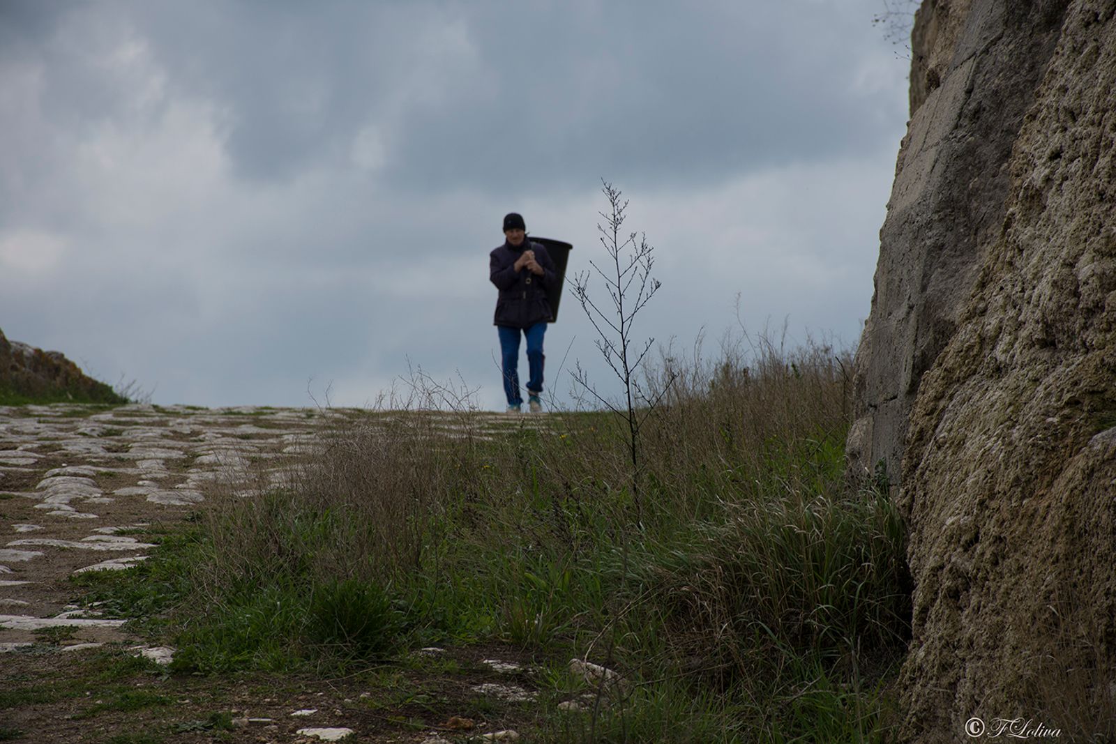 GRAVINA IN PUGLIA — fotografia 8 di Francesco Loliva