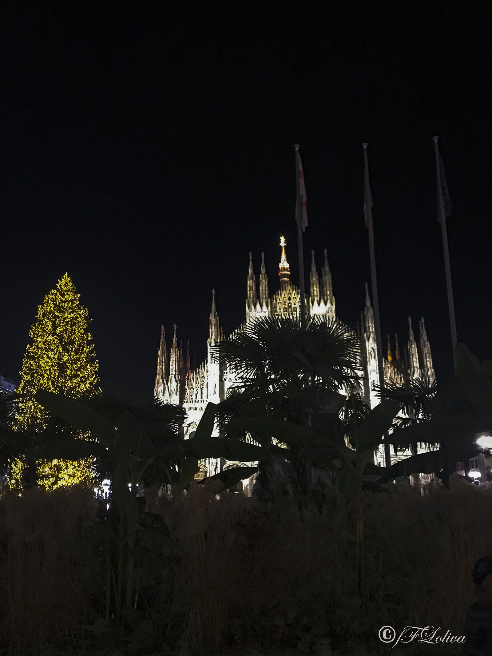 NATALE A MILANO TRA LUCI ED OMBRE — fotografia 6 di Francesco Loliva