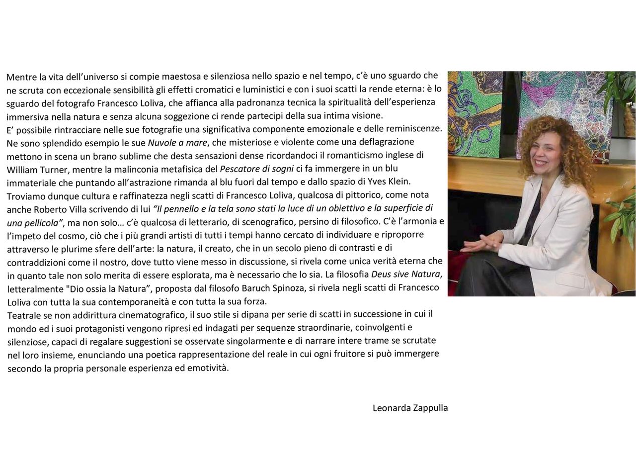 TESTO CRITICO LEONARDA ZAPPULLA