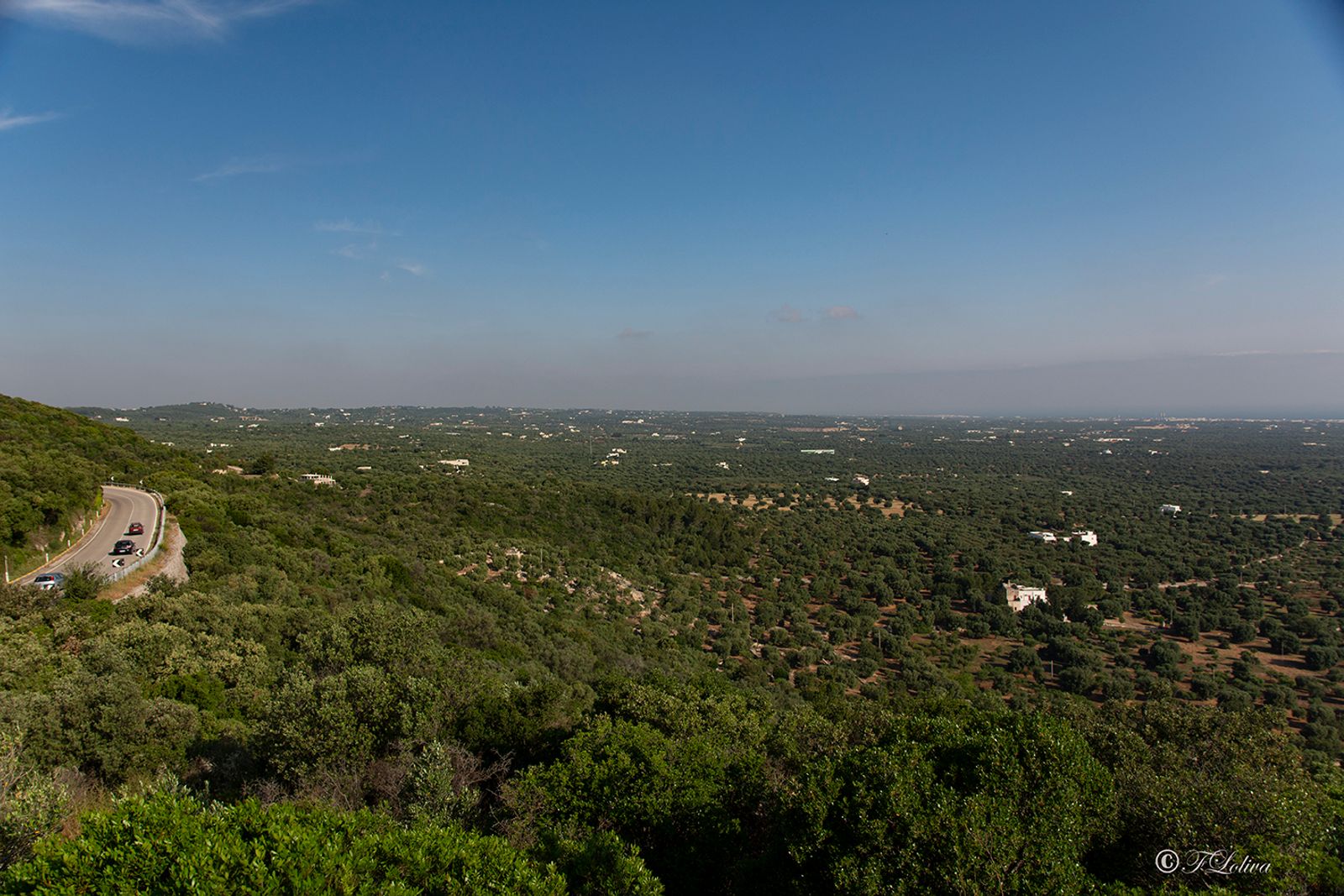 LA PIANA DEGLI ULIVI — fotografia 3 di Francesco Loliva