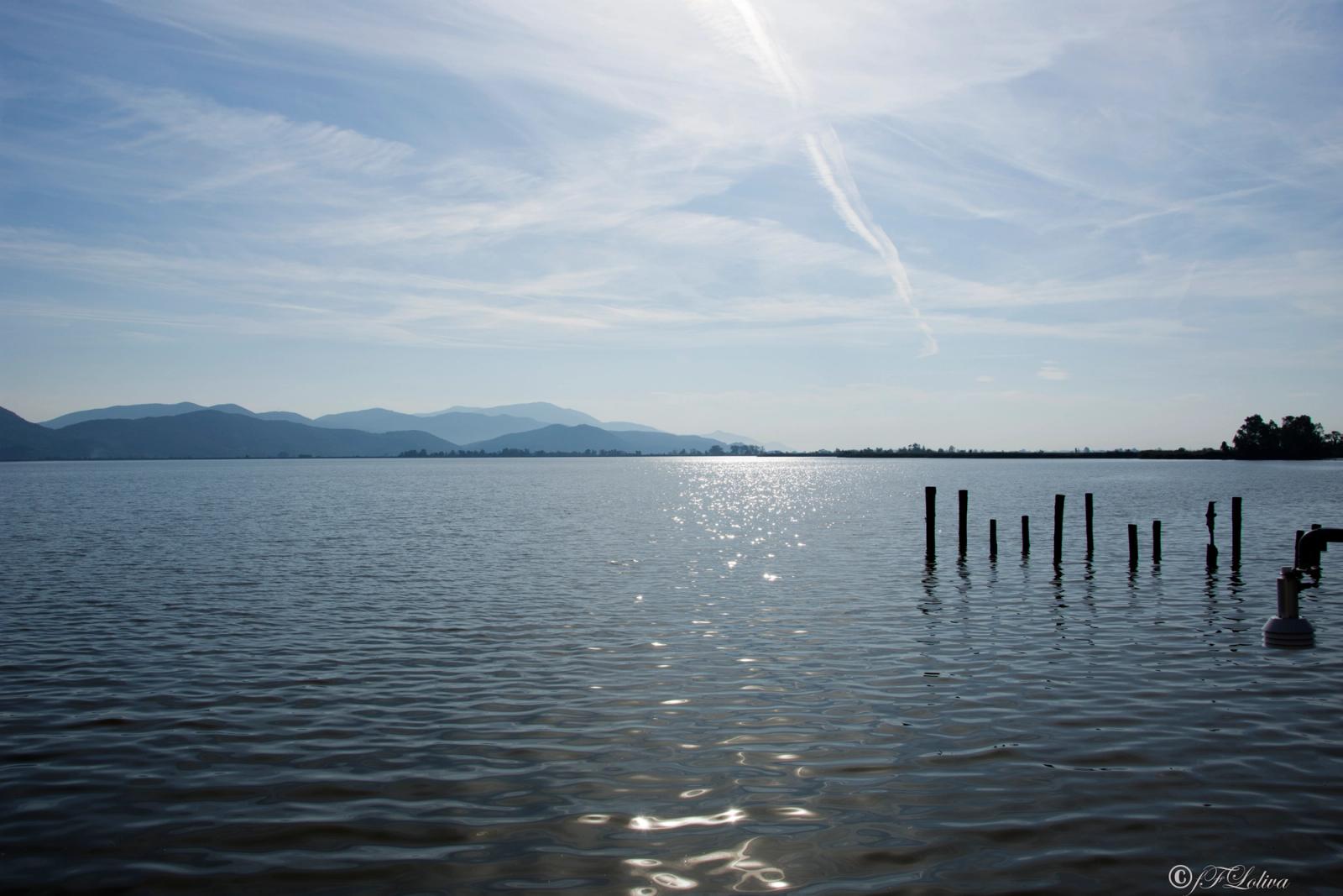 Il lago di Massaciuccoli (in provincia di Lucca, con il lembo meridionale appartenente alla provincia di Pisa, vicino…
