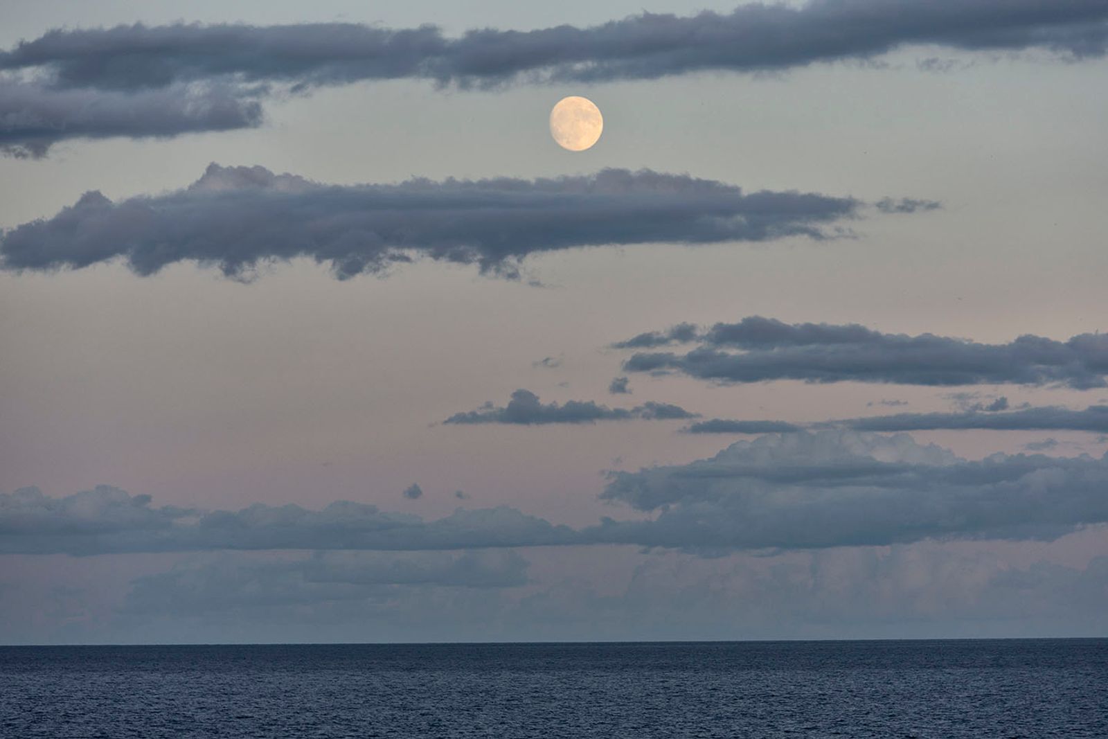 Full moon — fotografia 12 di Francesco Loliva