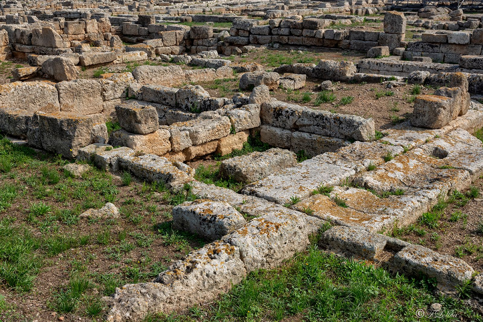 PARCO ARCHEOLOGICO DI EGNAZIA — fotografia 30 di Francesco Loliva