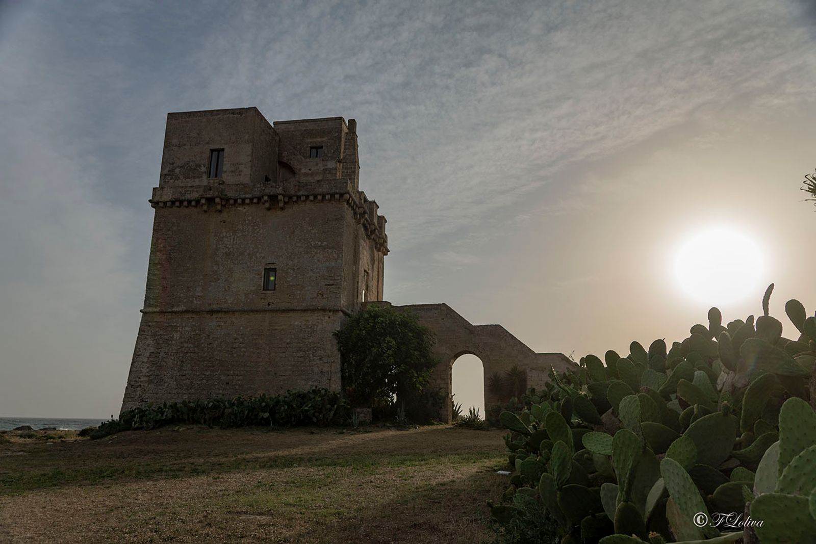 TORRE COLIMENA — fotografia 5 di Francesco Loliva