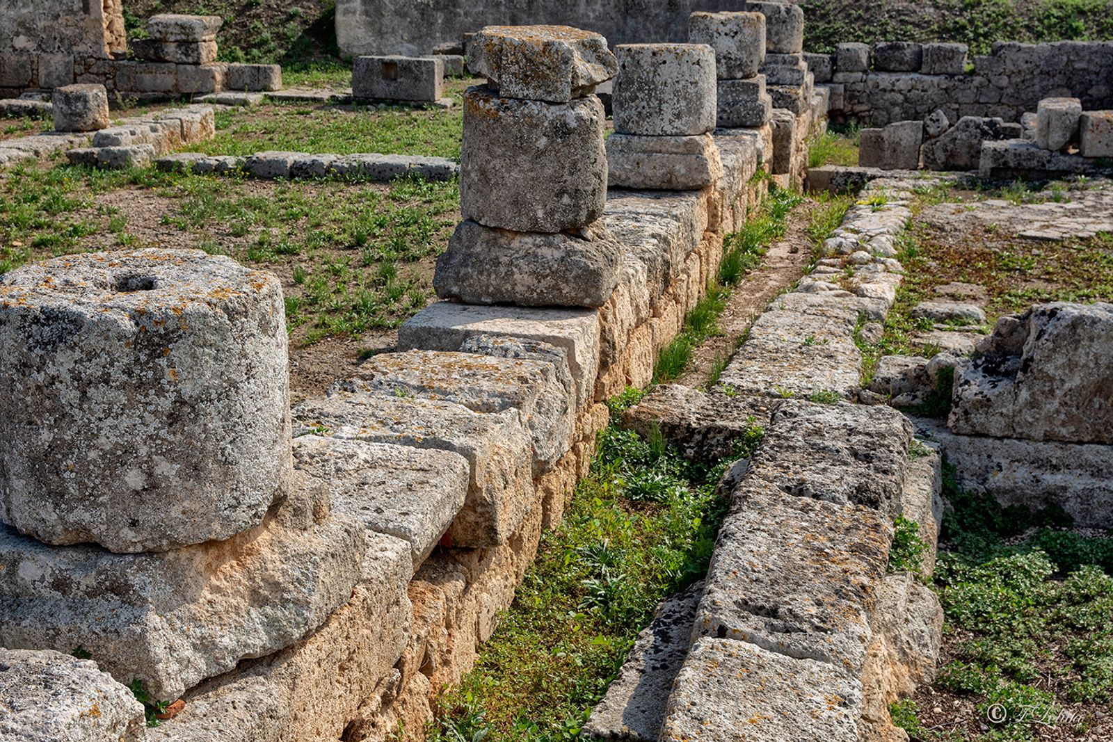 PARCO ARCHEOLOGICO DI EGNAZIA — fotografia 17 di Francesco Loliva