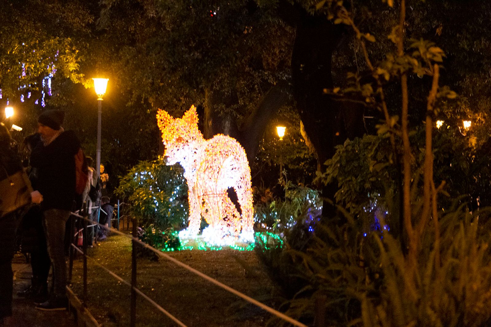 SALERNO IL PORTO E LE LUCI D'ARTISTA — fotografia 14 di Francesco Loliva