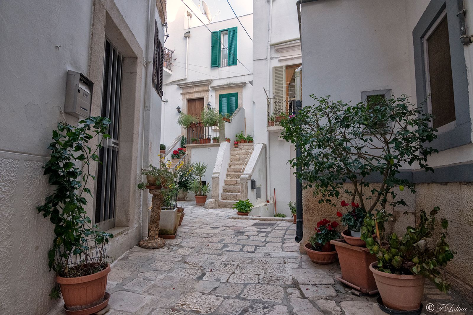 NOCI - IL CENTRO STORICO — fotografia 9 di Francesco Loliva