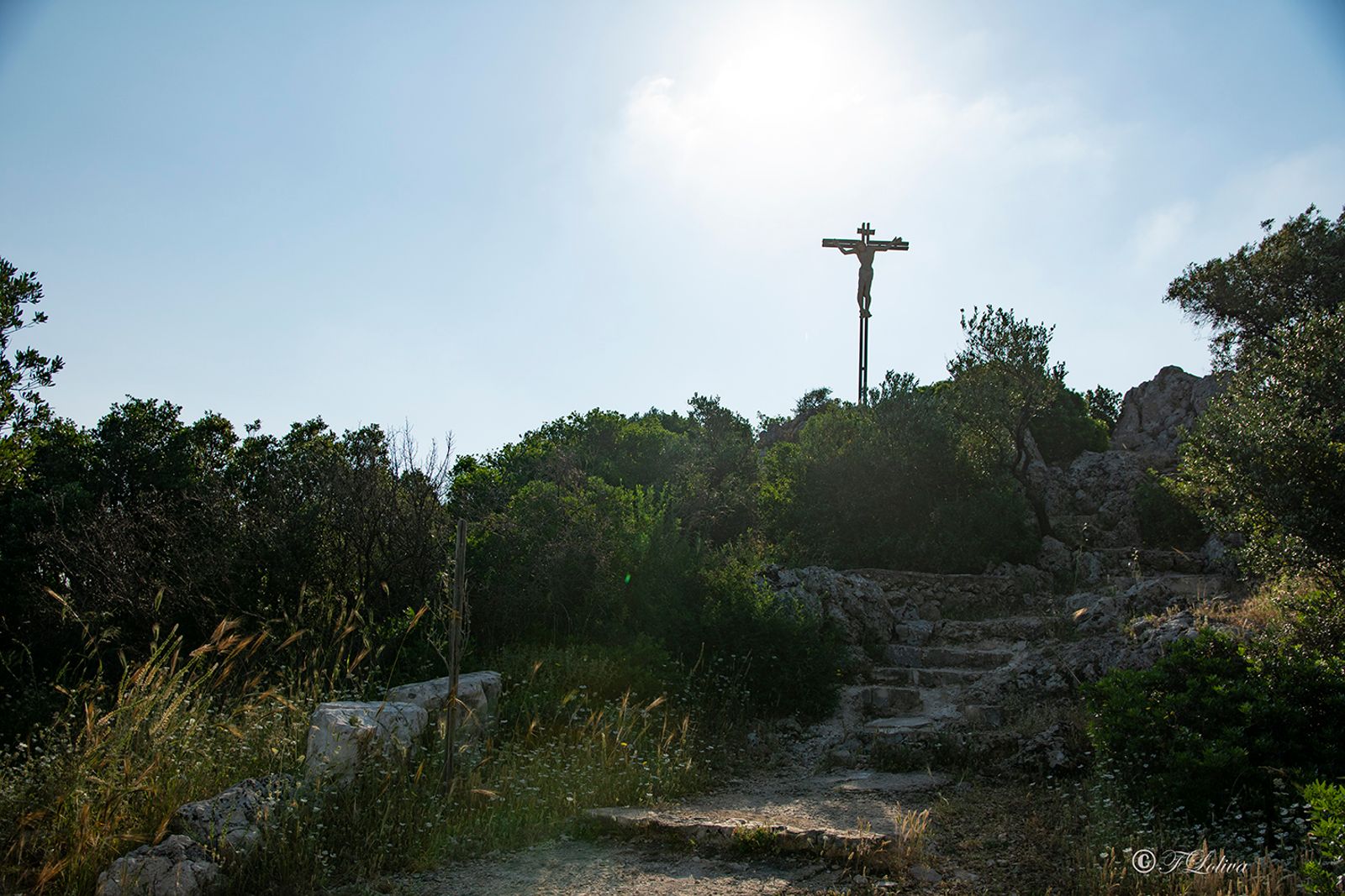 LA PIANA DEGLI ULIVI — fotografia 5 di Francesco Loliva