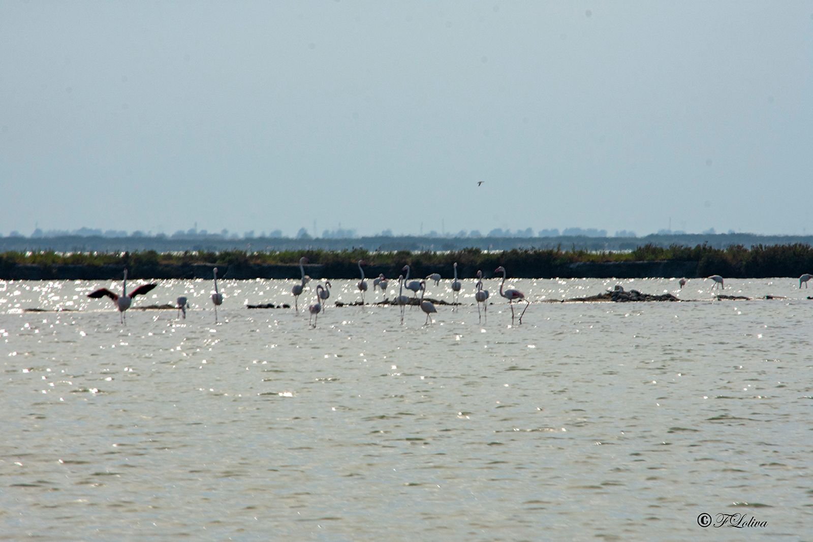È un luogo ideale per il bird watching, gli appassionati saranno pienamente soddisfatti dalla natura che qui si può…