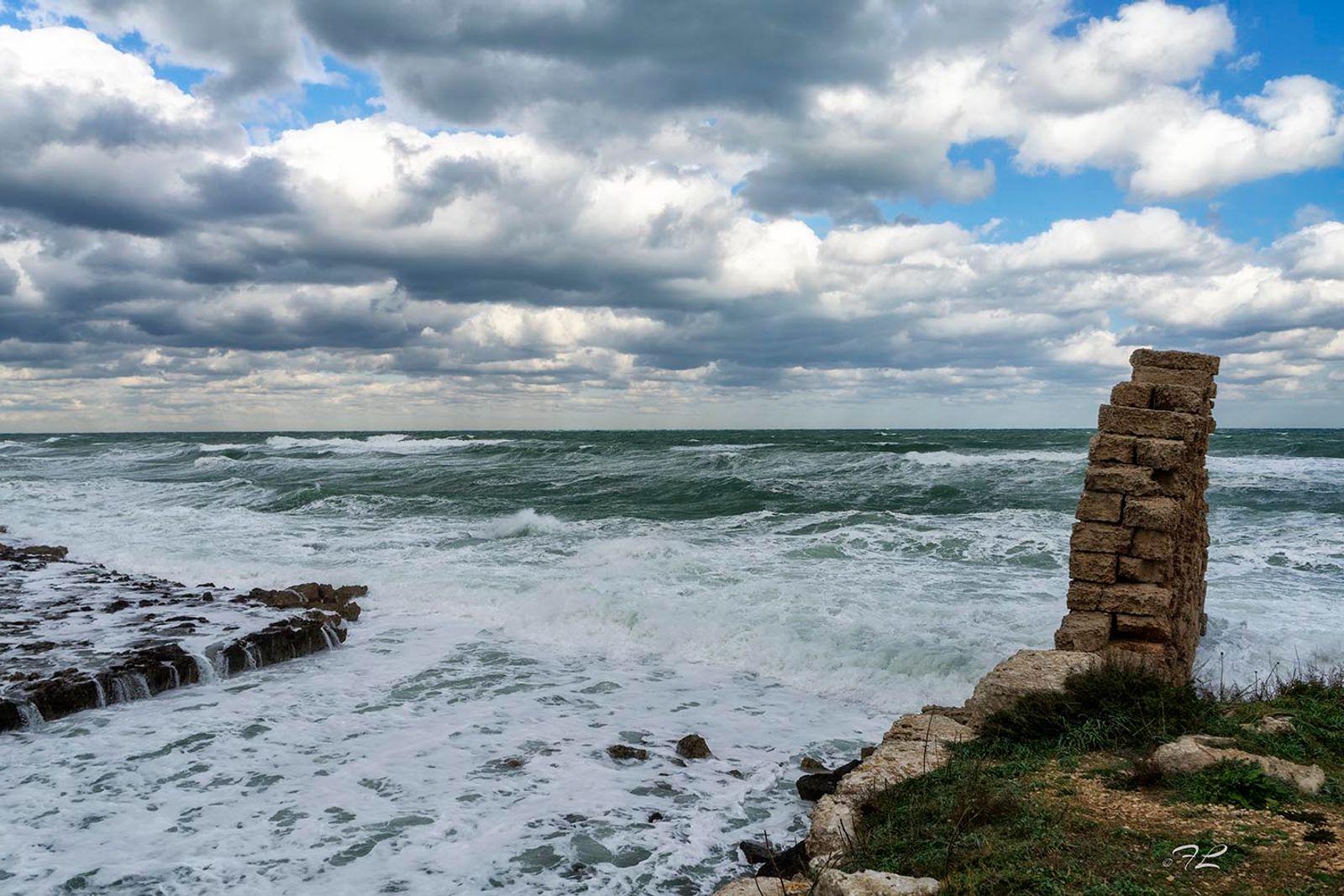 Il maestrale — fotografia 12 di Francesco Loliva