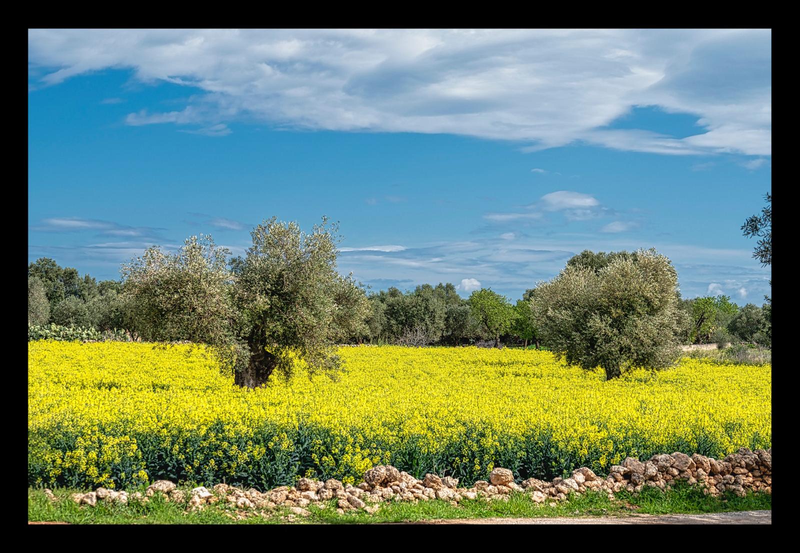 I COLORI DELLA PRIMAVERA '22