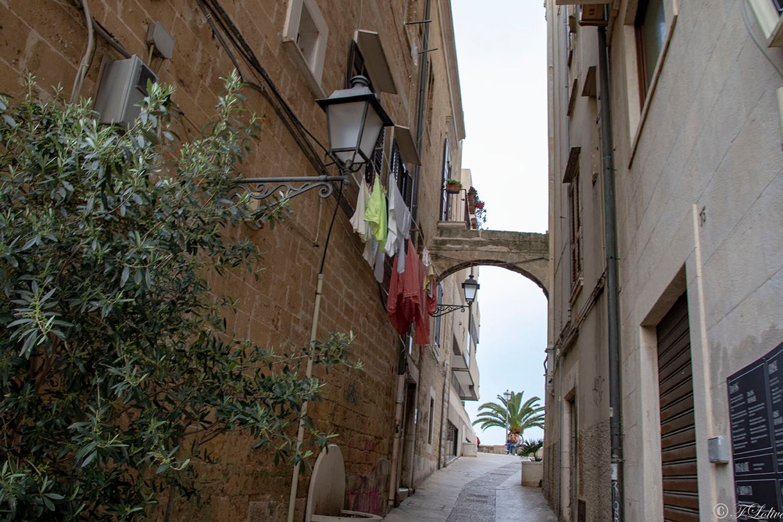 BARI — fotografia 14 di Francesco Loliva