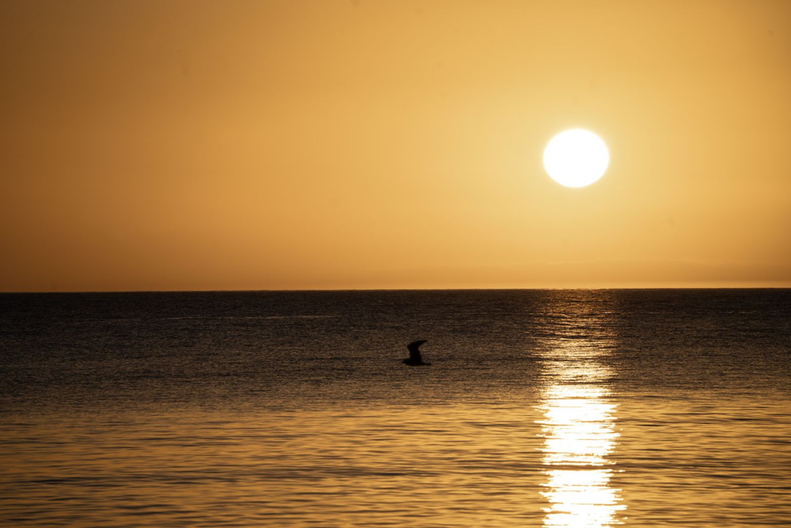 IL MARE SI SVEGLIA PRIMA DI NOI — fotografia 6 di Francesco Loliva