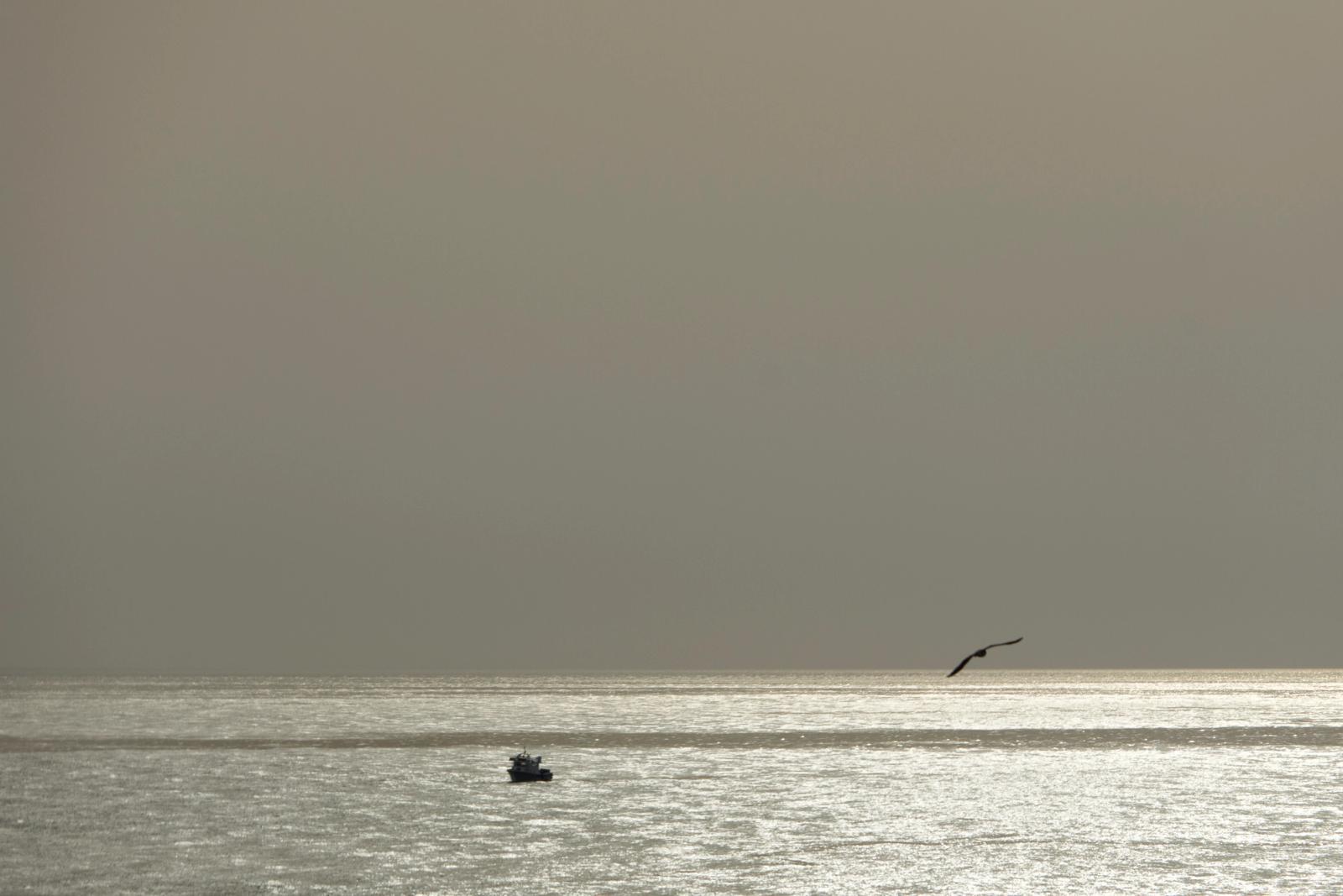 Riflessi di sole — fotografia 1 di Francesco Loliva